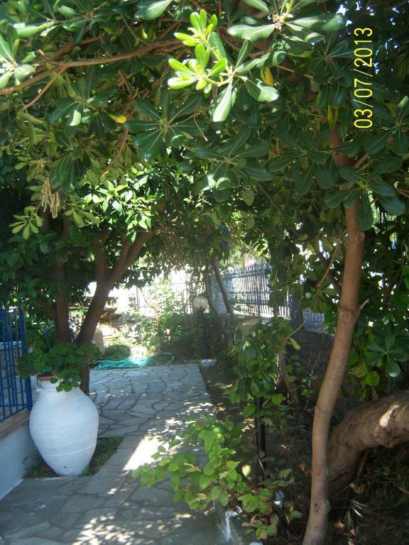 Smile Stella Studios Bandar Skopelos Bilik gambar